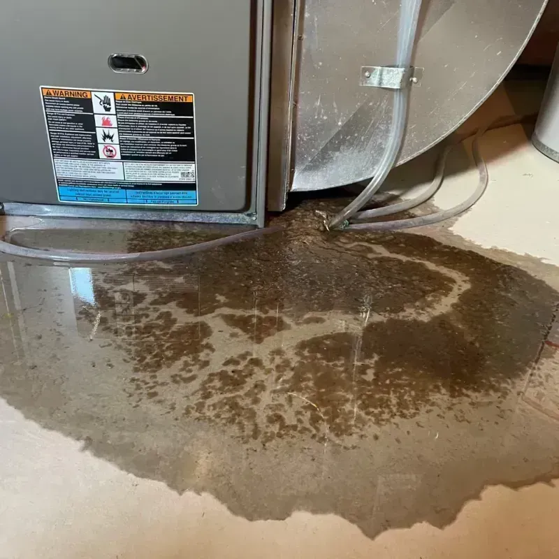 Appliance Leak Cleanup in Clayton, MO